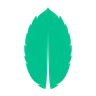 MintAPI