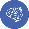 Brainrot Quizzes