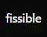 fissible