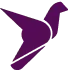 JetlyGo