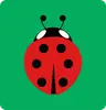 Buglet