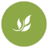 Mindful Family