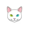 Appkittie