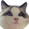 Hacker News AI Detector