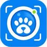 AI Animal Identifier
