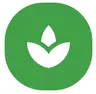 Sprout