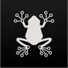 Rainfrog