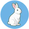 marpy.io