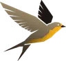 HiveWeaver FM