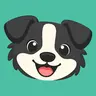 Collie