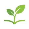 Sprout Lessons