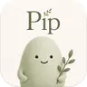 Pip