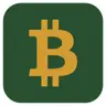 Bitcoin Loans Market