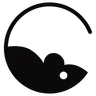 RChat.dev