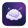 Brain Bed