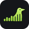 JingleLark