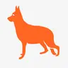 Indoor Dog Park