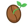 Sonar Seed
