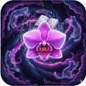 Orchid Journal