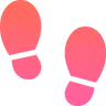 TheColorWalk