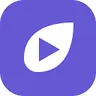 Vidleaf