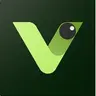 Visly