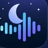 Night Time Noise