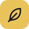 The Nest Team