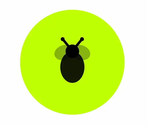 DashBee