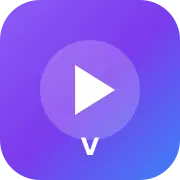 Vivideo AI 