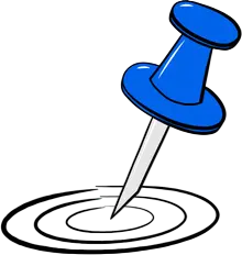 Needle