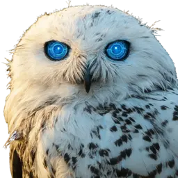 OwlAI.cc - AI for Small Business