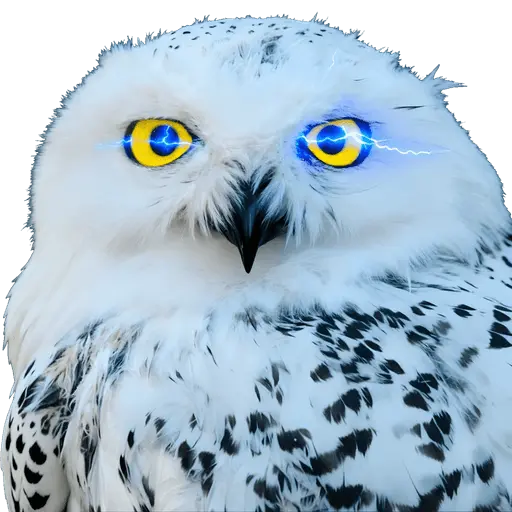 OwlAI Email Companion