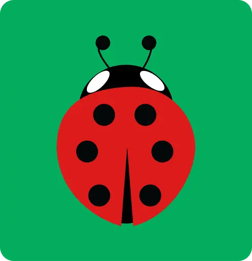 Buglet