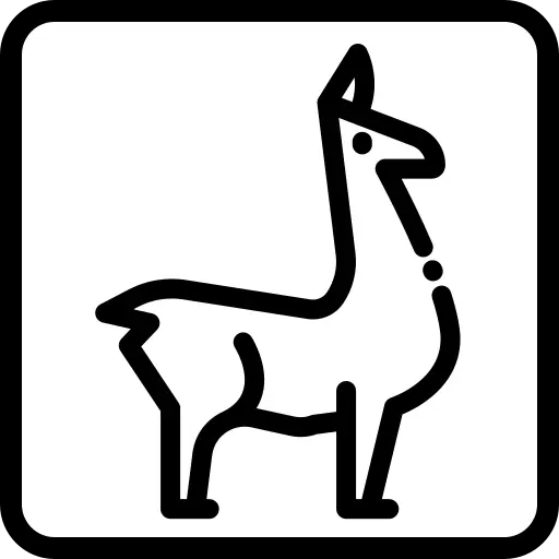 VideoLlama