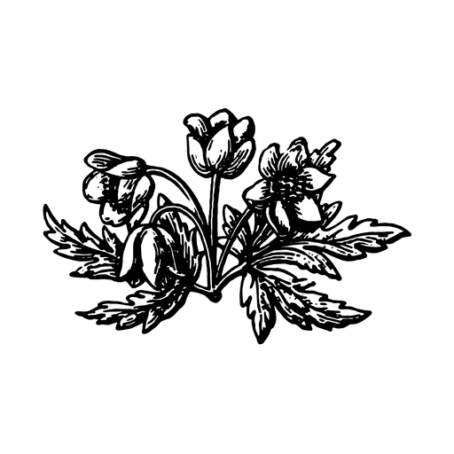 Summer Club