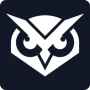 Visual Sentinel