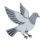 CheckinPigeon