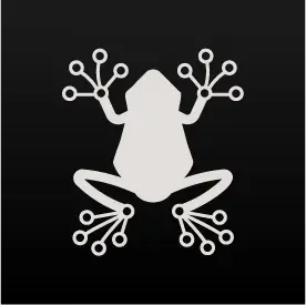 Rainfrog
