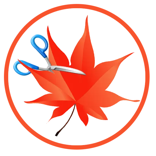 Easy Cut Studio - vinyl cutting software