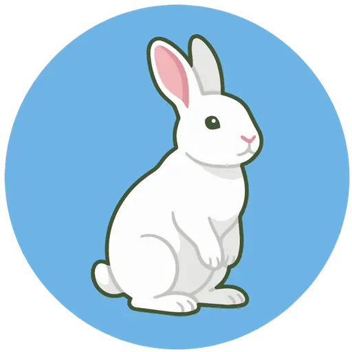 marpy.io