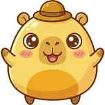 Piply