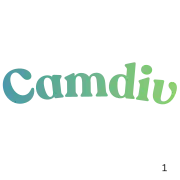 CamDiv: Anonymous Video Chat