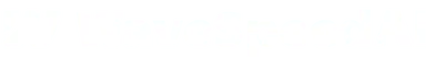 WaveSpeedAI