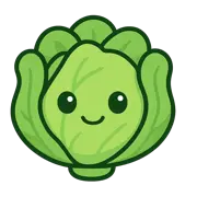 cabbageSEO
