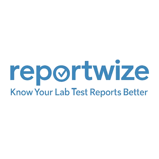 ReportWize