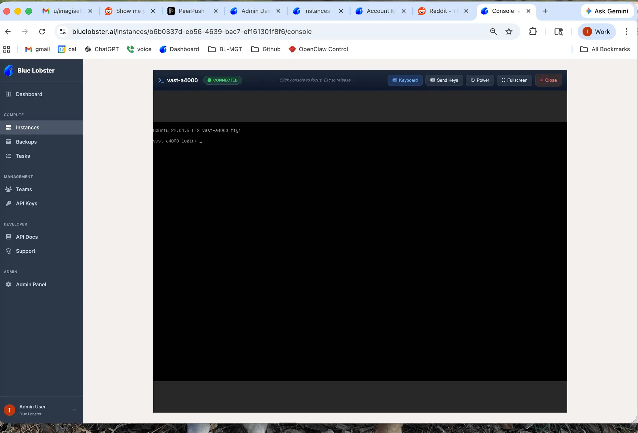 Screenshot 3 of bluelobster.ai - GPU VPS Simplified