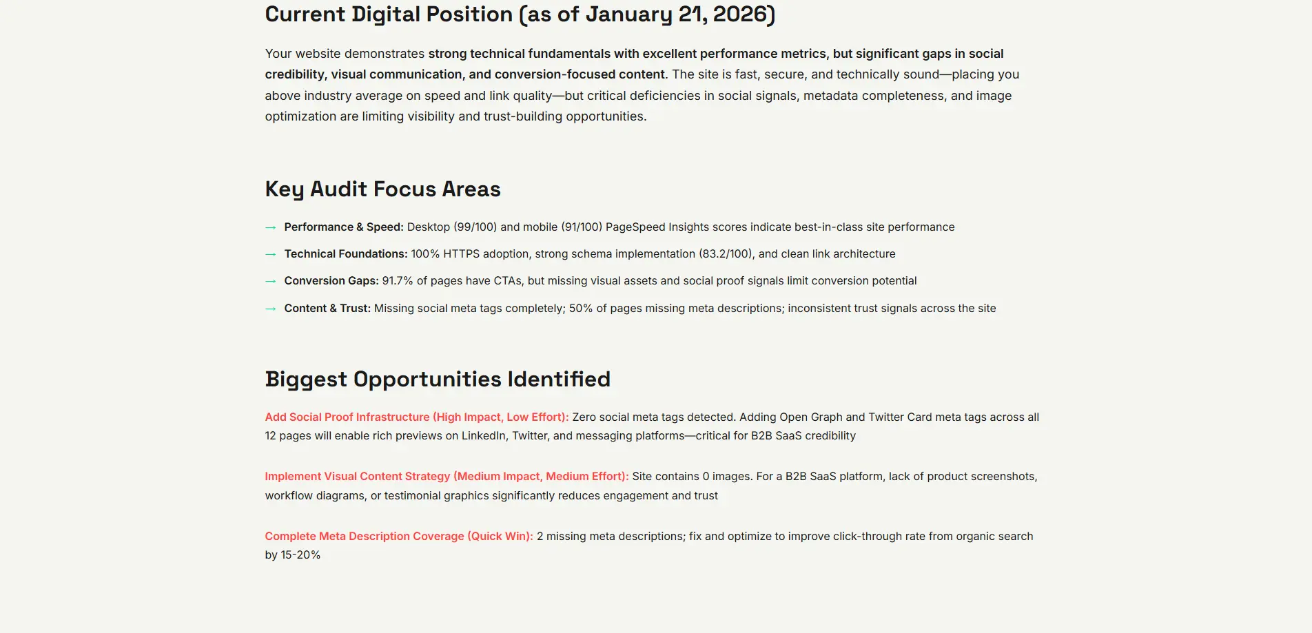 Screenshot 3 of Website Audits + Roadmap