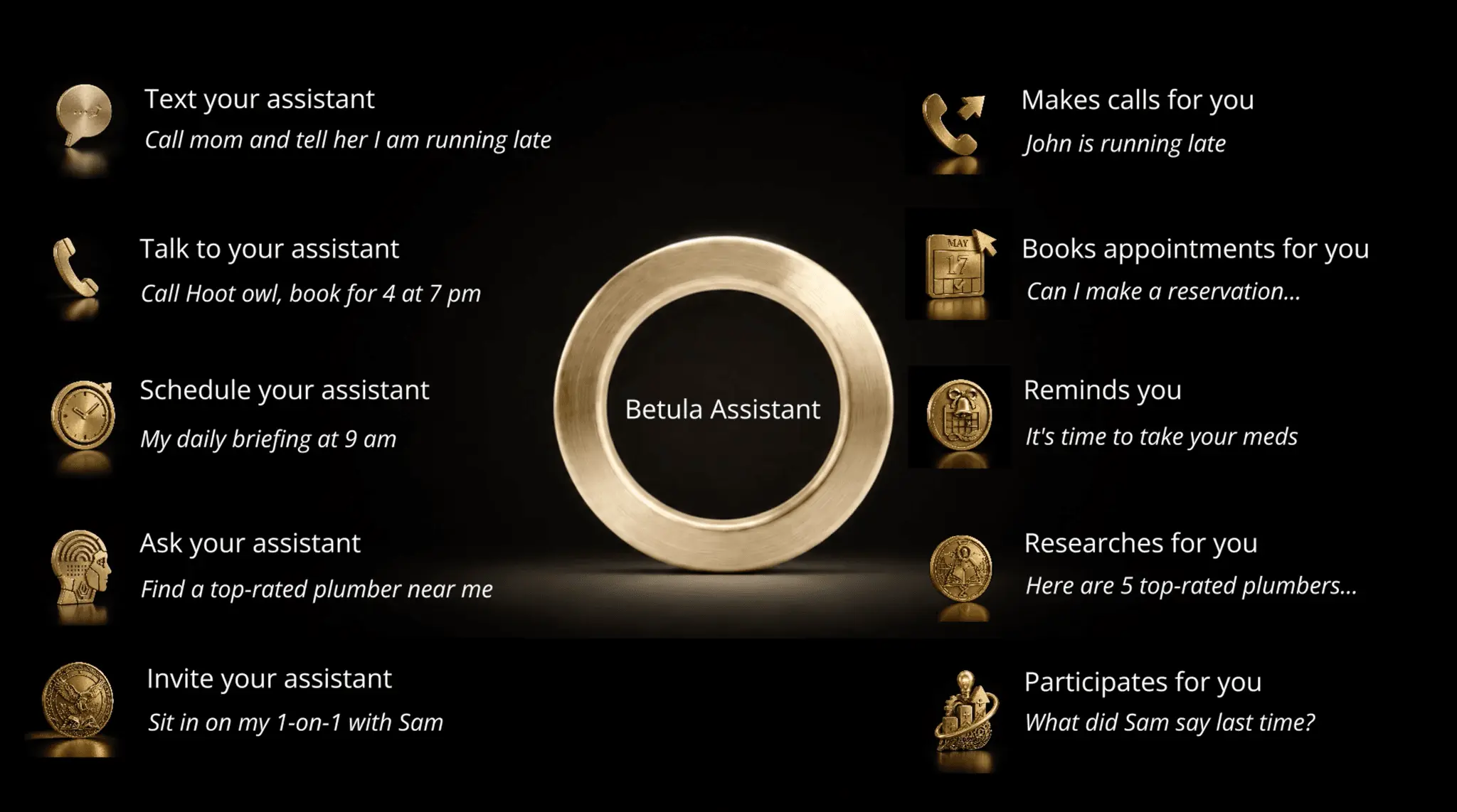Screenshot 2 of Betula Assistant