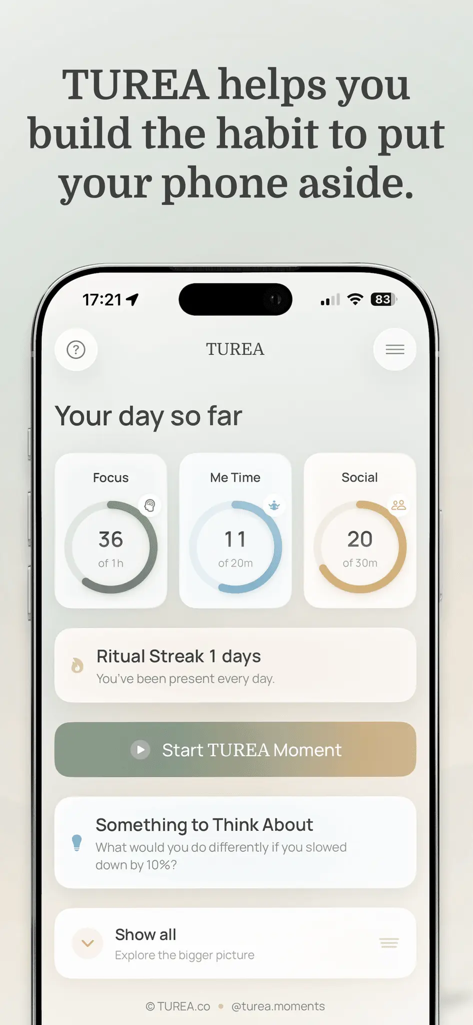 Screenshot 1 of TUREA